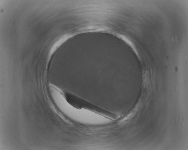 X0000061761373200512231540