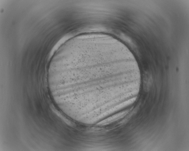 X0000061761374200512231540