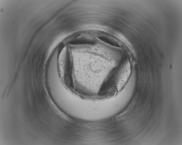 X0000061761376200512231540