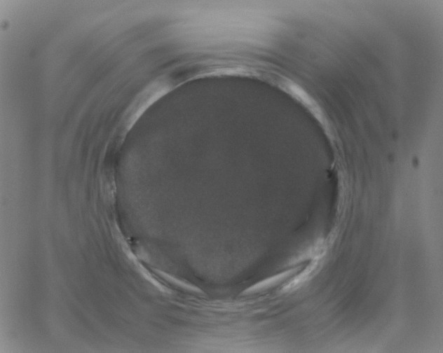 X0000061761377200512231540