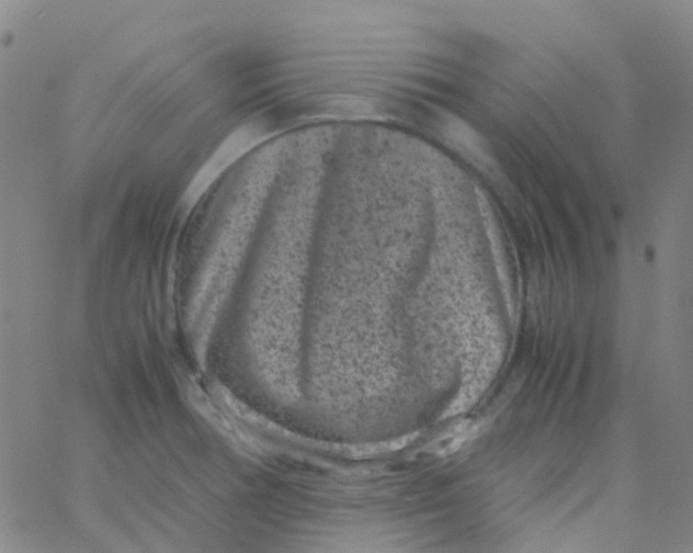 X0000061761378200512231540