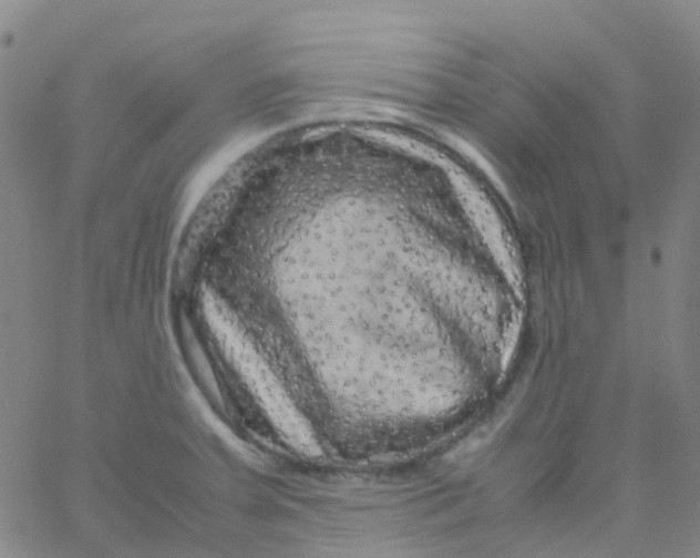 X0000061761379200512231540