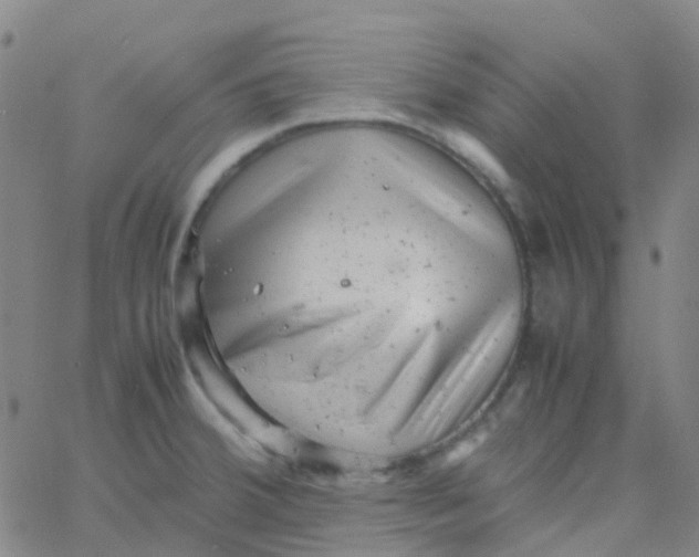 X0000061761380200512231540