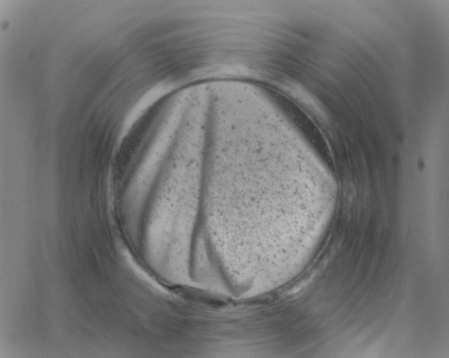 X0000061761382200512231540