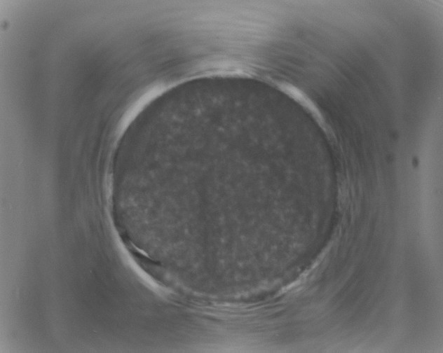 X0000061761383200512231540