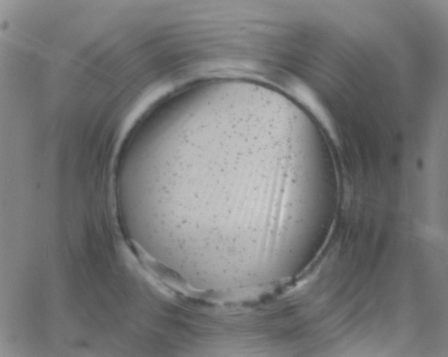 X0000061761384200512231540