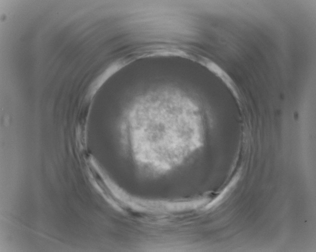 X0000061761385200512231540