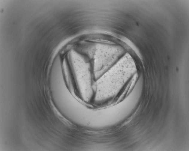 X0000061761388200512231540