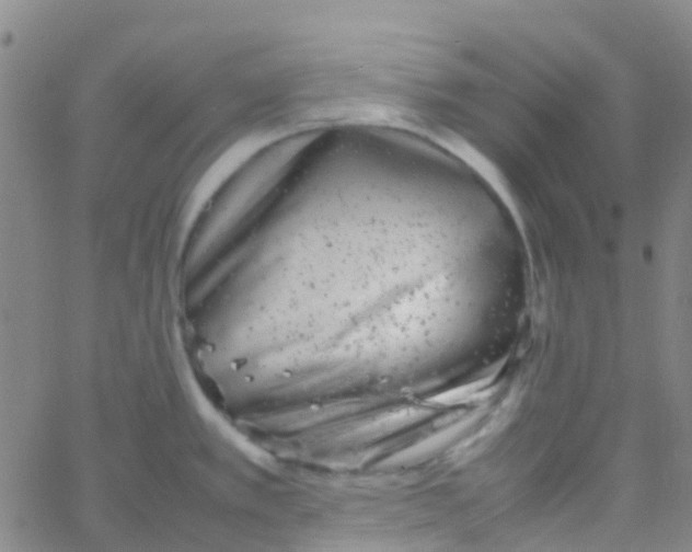 X0000061761389200512231540