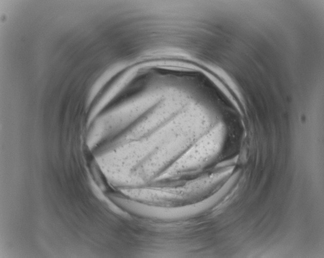 X0000061761390200512231540