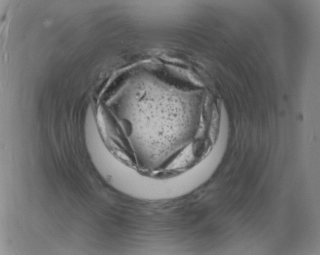 X0000061761394200512231539