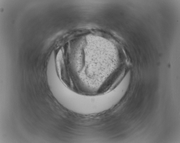 X0000061761398200512231539