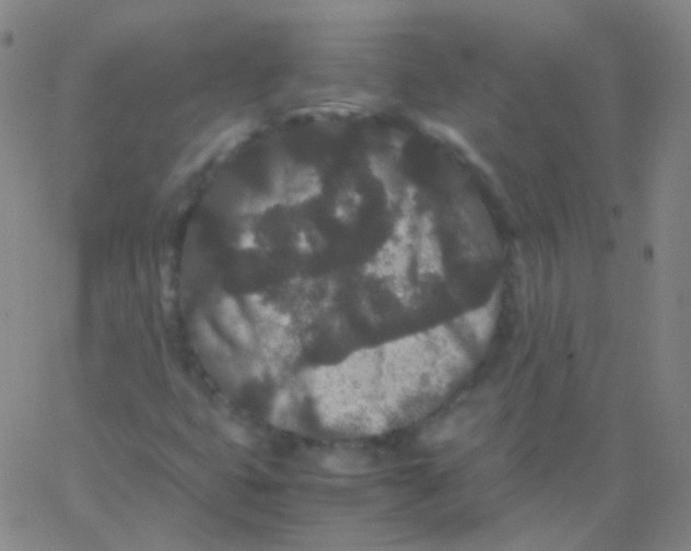 X0000061761399200512231539