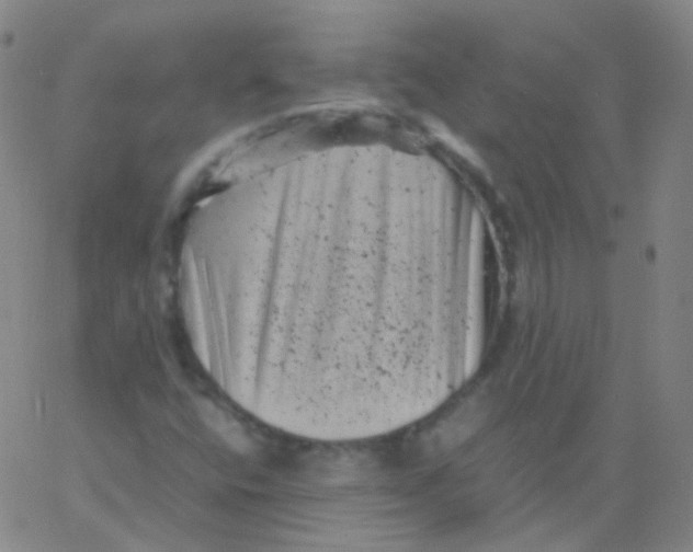 X0000061761400200512231539