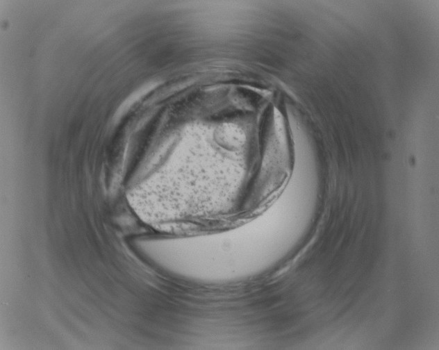 X0000061761402200512231539