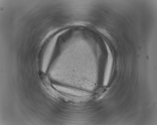 X0000061761404200512231539