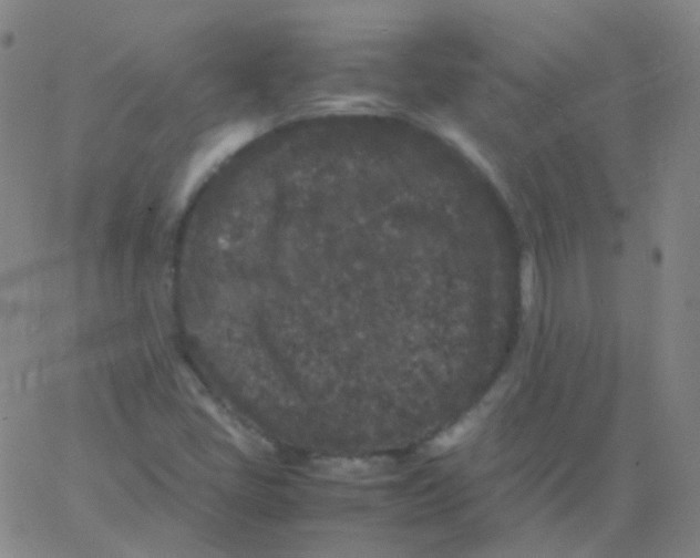 X0000061761405200512231539