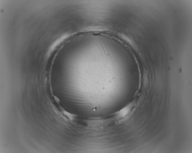 X0000061761406200512231539