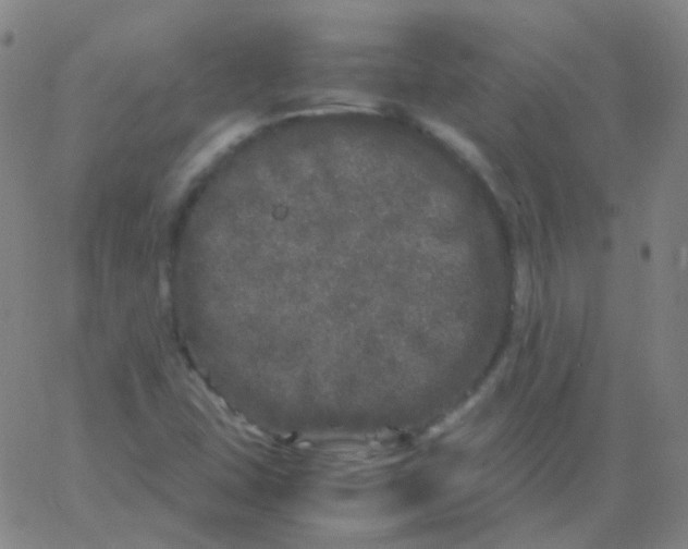 X0000061761407200512231539