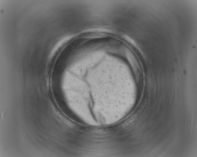 X0000061761408200512231539