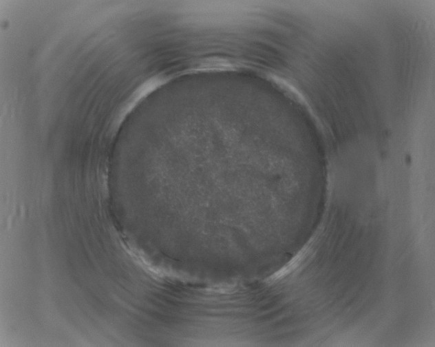 X0000061761409200512231539