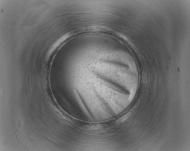 X0000061761410200512231539