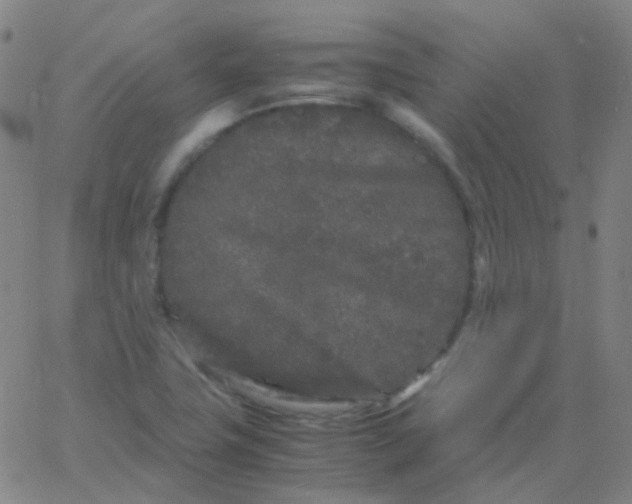 X0000061761411200512231539