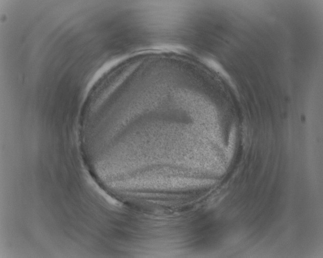 X0000061761412200512231539