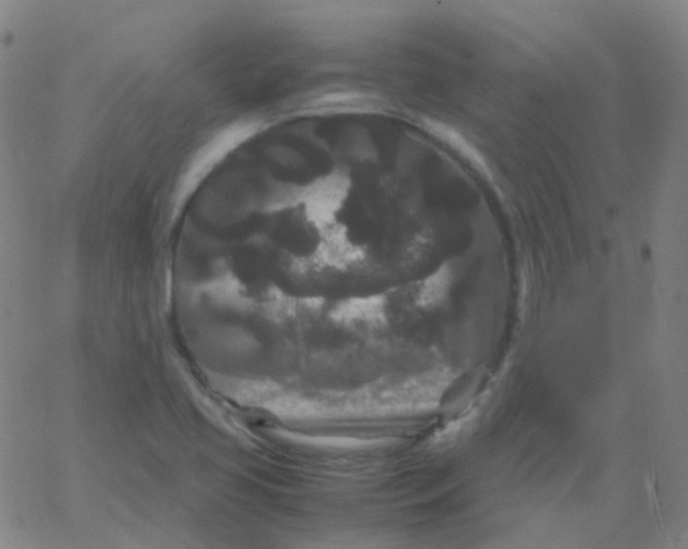 X0000061761413200512231539