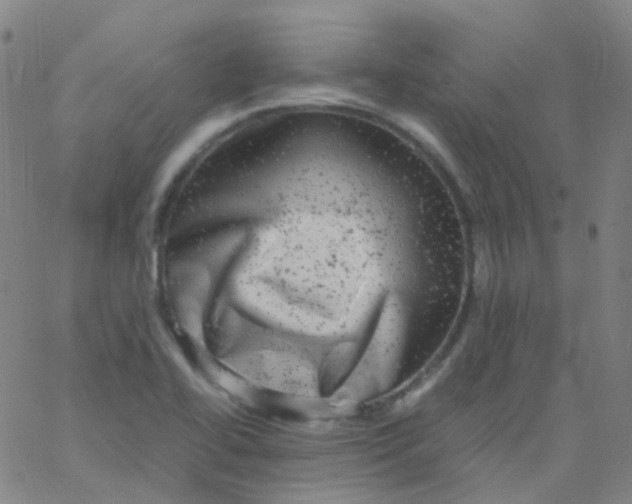 X0000061761414200512231539