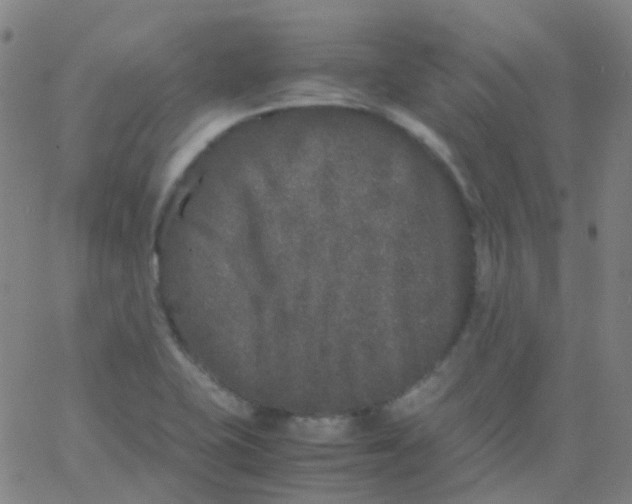 X0000061761415200512231539