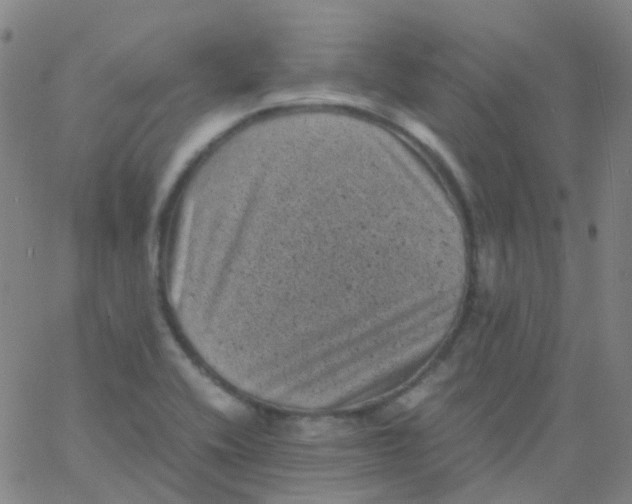 X0000061761416200512231539