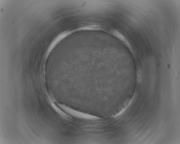 X0000061761421200512231539