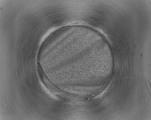 X0000061761422200512231539