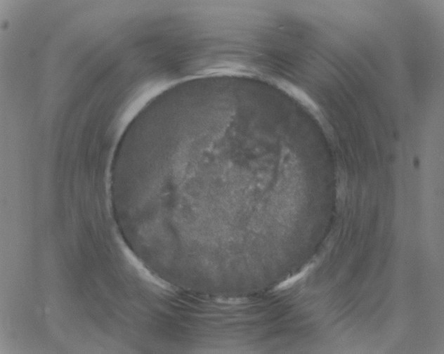 X0000061761423200512231539