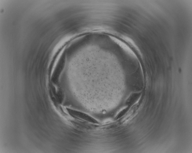 X0000061761424200512231539