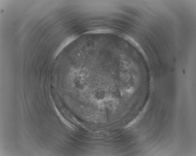 X0000061761425200512231539