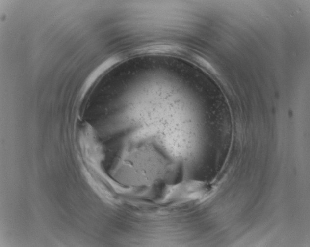 X0000061761426200512231539