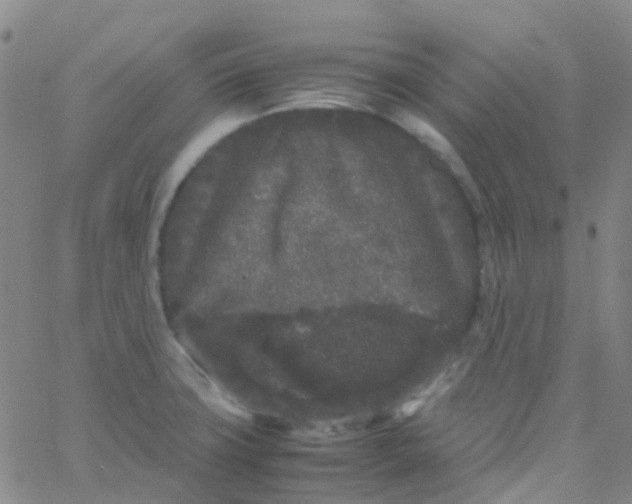 X0000061761427200512231539