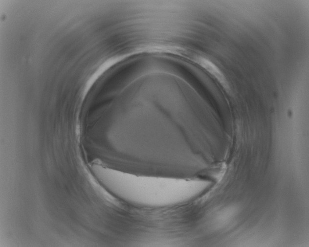 X0000061761428200512231539