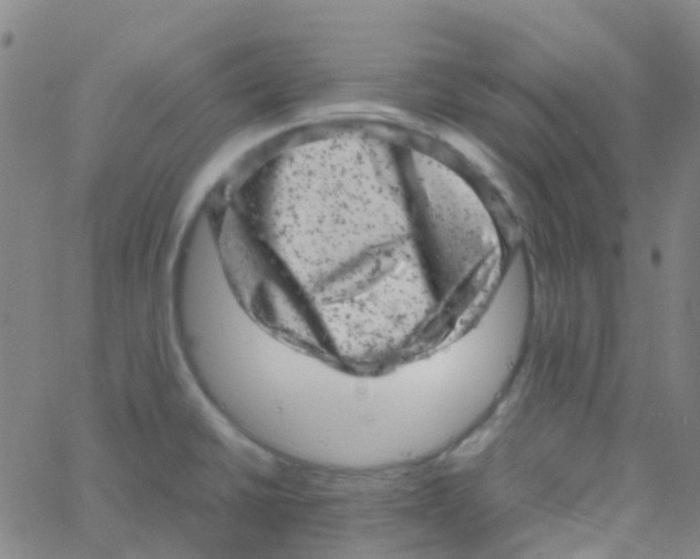 X0000061761430200512231539