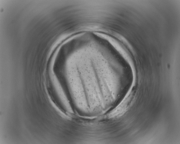 X0000061761432200512231539