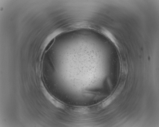 X0000061761434200512231540