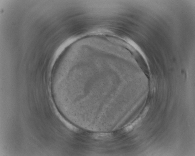 X0000061761437200512231540