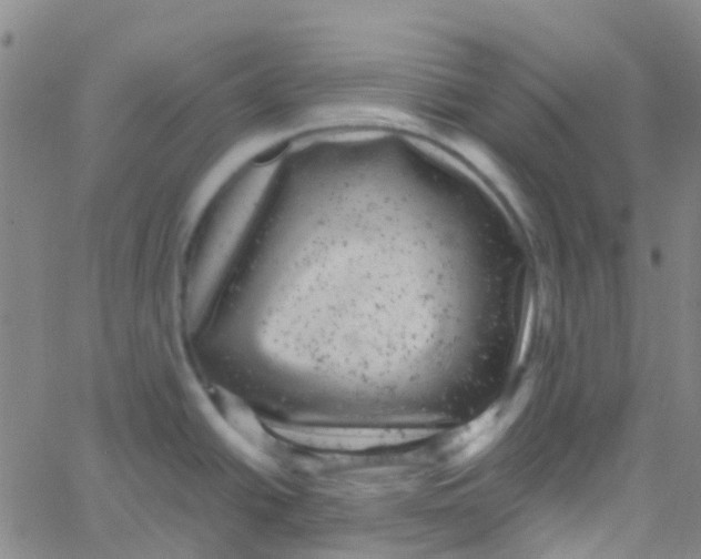 X0000061761438200512231540