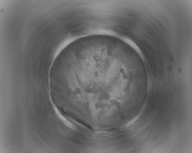 X0000061761439200512231540