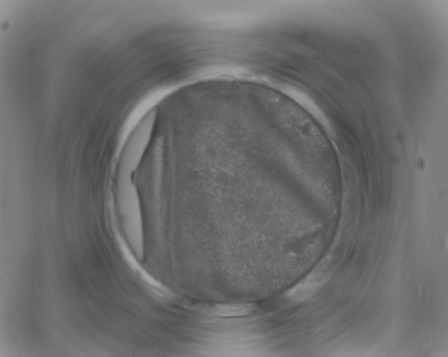 X0000061761440200512231540