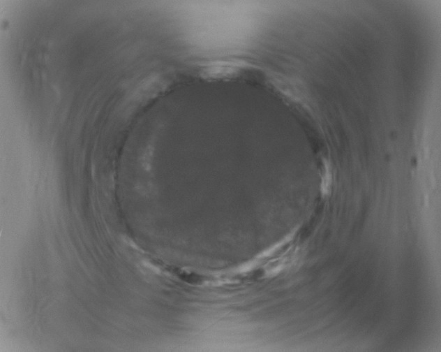 X0000061761441200512231539