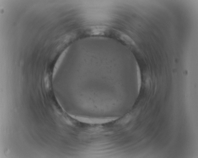 X0000061761442200512231539