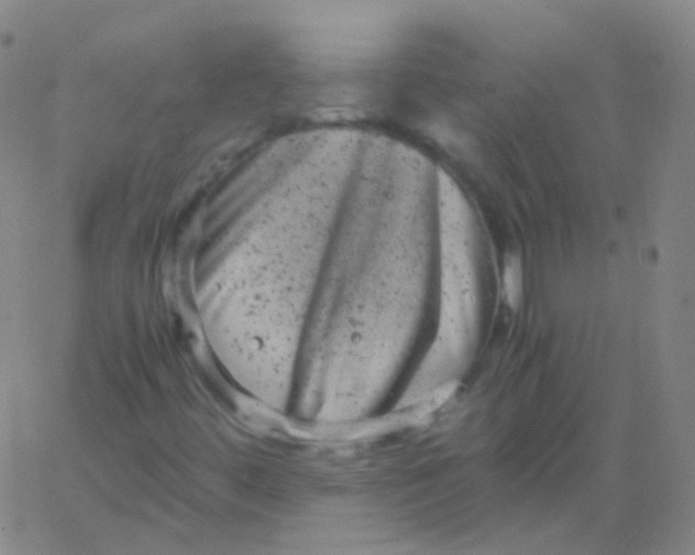 X0000061761444200512231539